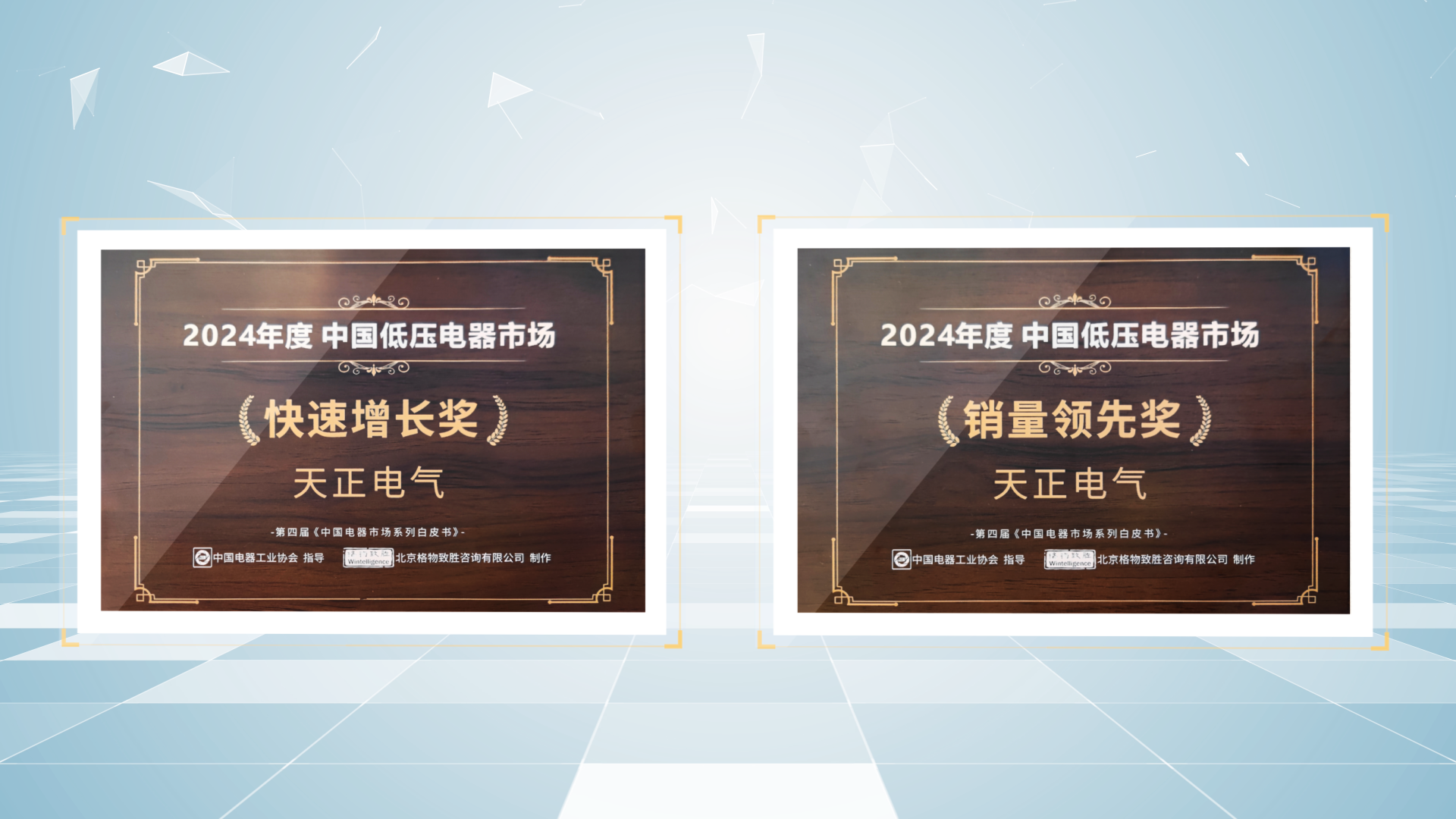 销量领先、快速增长丨k8凯发荣膺2项行业年度大奖